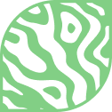 sharp-vector-green